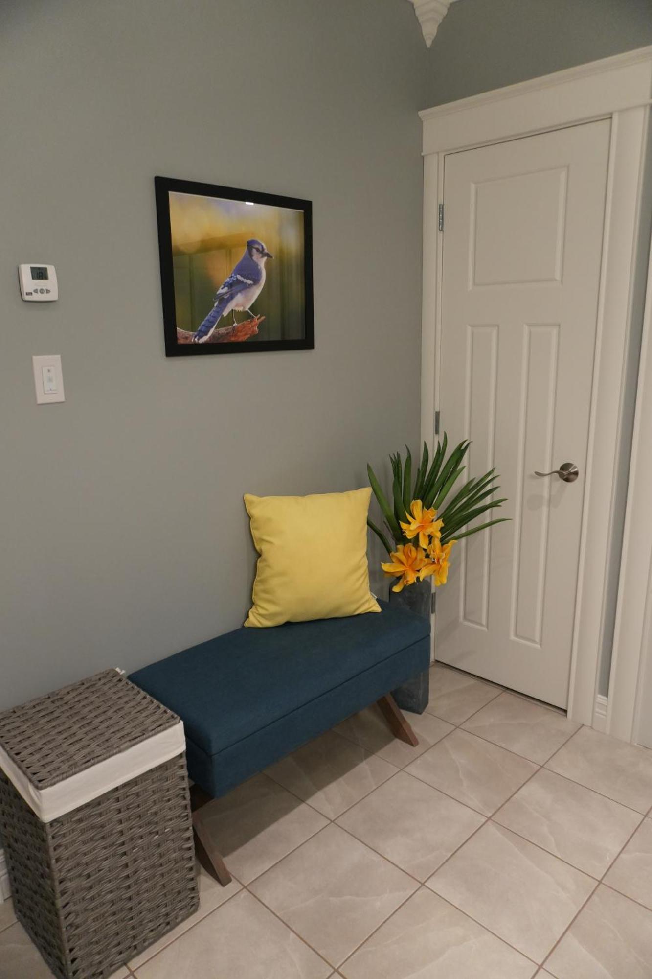 Ferienwohnung The Blue Jay Nest Topsail Exterior foto