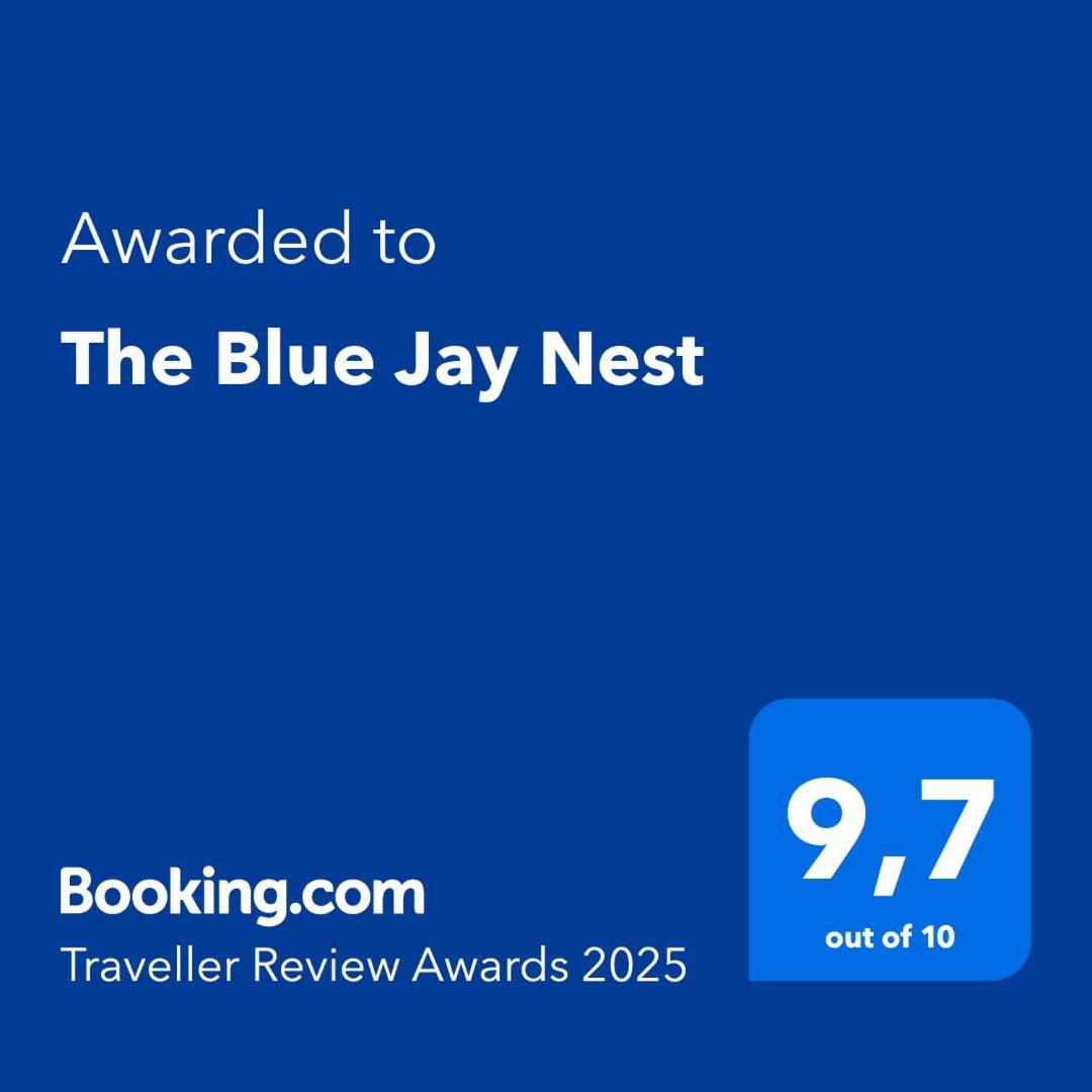 Ferienwohnung The Blue Jay Nest Topsail Exterior foto